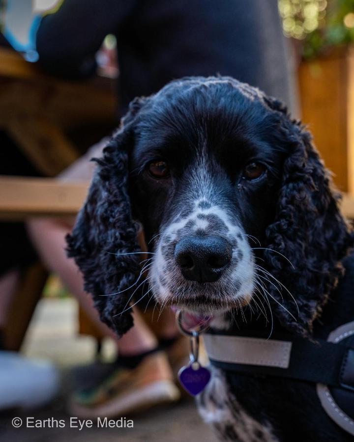 The Bear Inn Llandovery Kültér fotó
